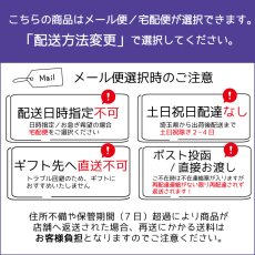 画像10: アウトレット特別価格木製ミニカー 単品 働く車シリーズ (10)