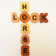 画像9: 【在庫一掃SALE】 木製 マグネットブロック 英字ブロック アルファベット 英語 ABC 磁石 マグネット A to Z 26個入り 知育玩具 ブロック (9)